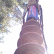 Image for article titled Shooting Challenge: Cellphone Gallery Part 3